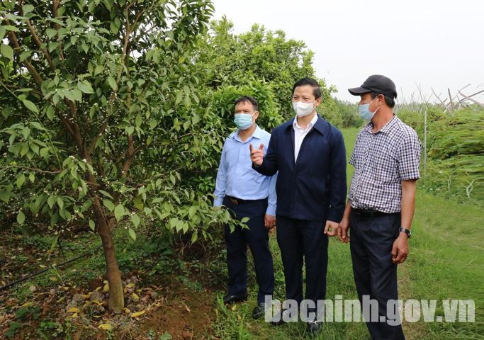 Phó Chủ tịch Thường trực UBND tỉnh Bắc Ninh Vương Quốc Tuấn chủ trì họp bàn xây dựng nông thôn mới nâng cao - Ảnh 1.