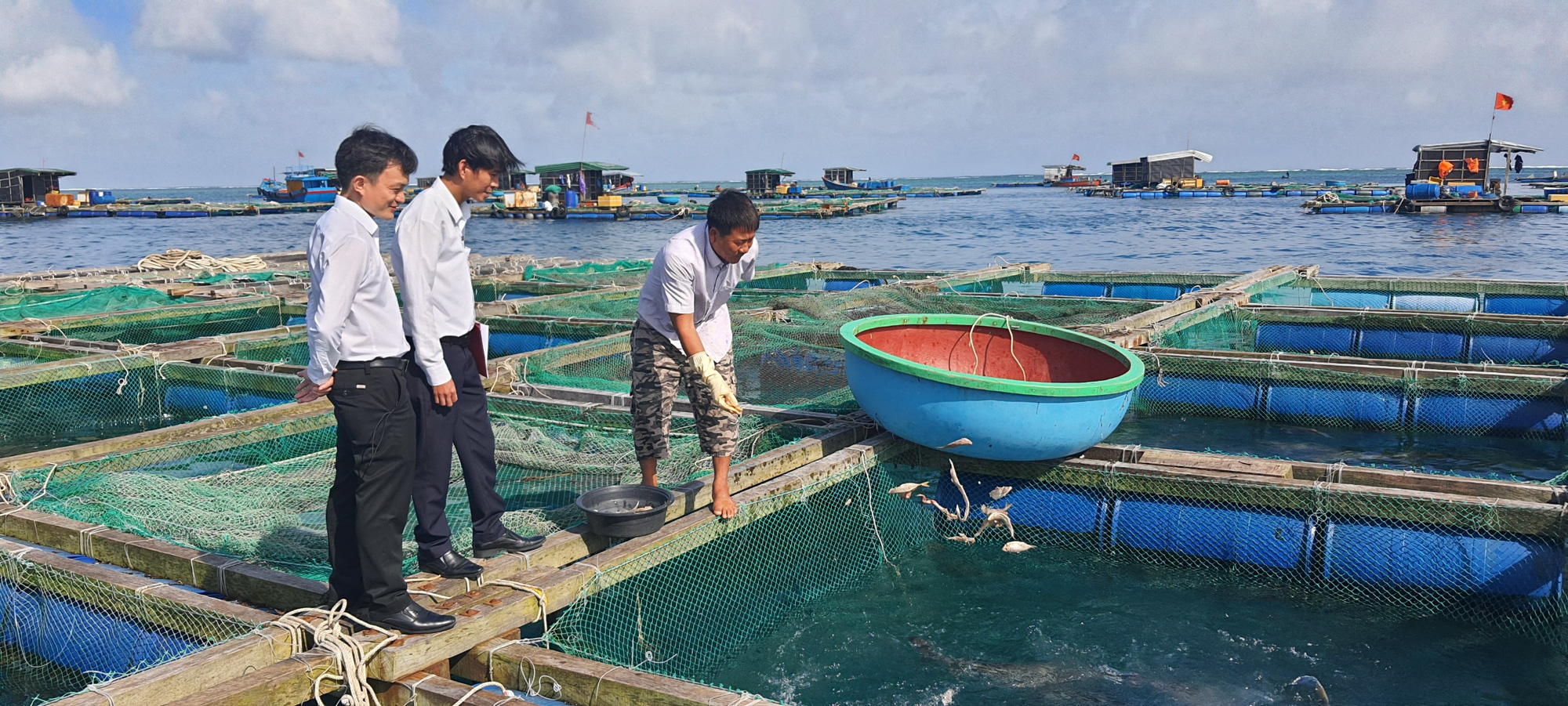 Quảng Ngãi: Nông dân Lý Sơn đổi đời nhờ nuôi loài cá hấu ăn, thịt thơm ngon - Ảnh 6.