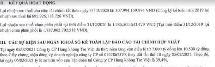 Bamboo Airways không còn là công ty con FLC của tỷ phú Trịnh Văn Quyết? - Ảnh 1.