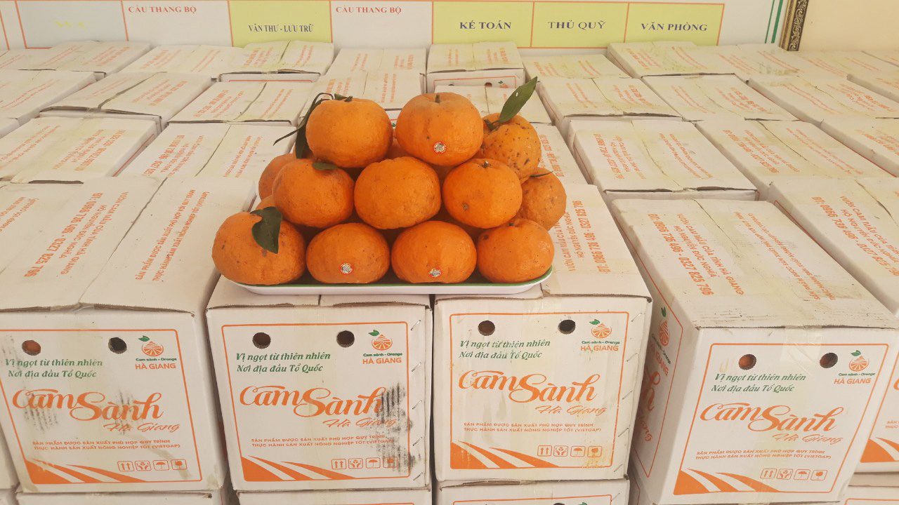 Quảng Bình: Bán hết veo hơn 20 tấn cam sành cho nông dân Hà Giang  - Ảnh 3.