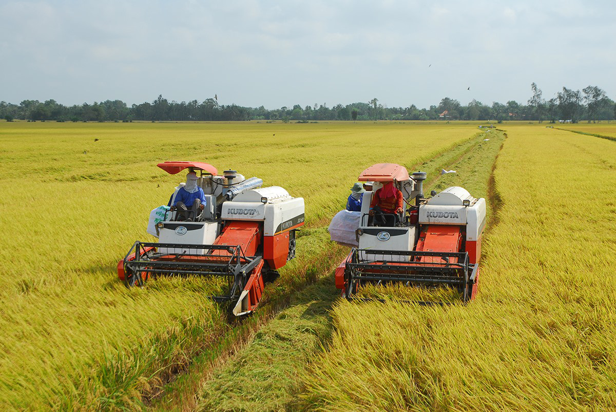 Xây dựng công trình phục vụ sản xuất trên đất trồng lúa: Quy định rõ tiêu chí để hạn chế xin - cho - Ảnh 1.