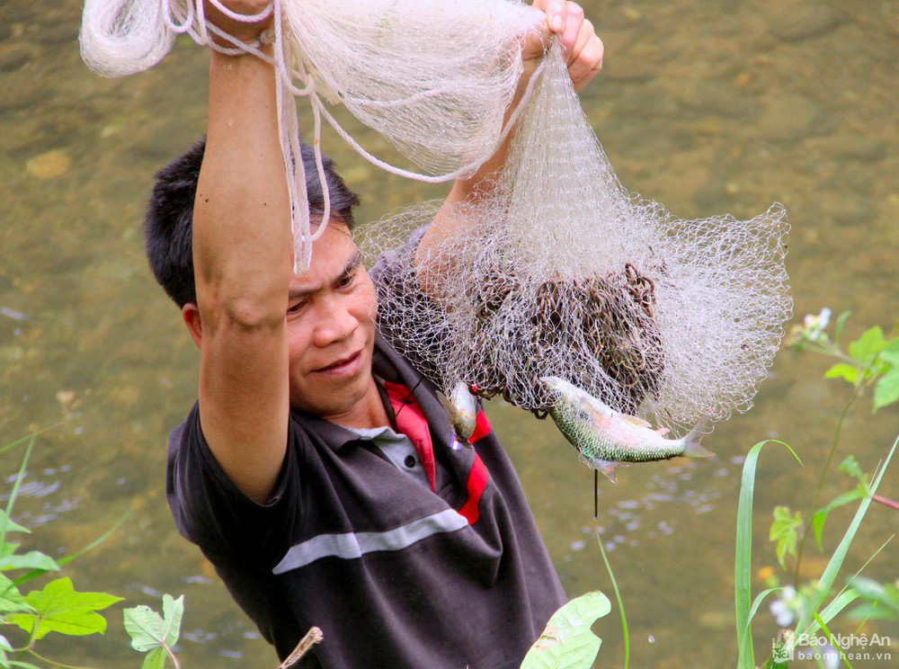 Nghệ An: Loài cá cực hiếm, nghe tên đã thấy &quot;mát mẻ&quot;, bán giá 350.000 đồng/kg hết bay - Ảnh 5.