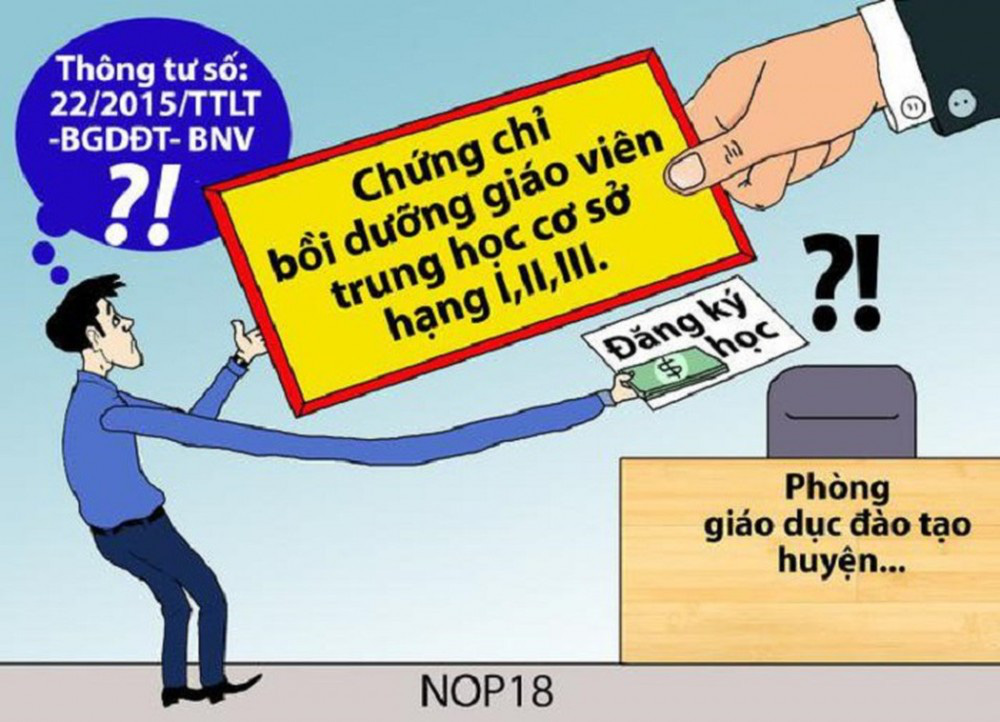 &quot;Chứng chỉ chức danh nghề nghiệp không có lỗi, nhưng…&quot; - Ảnh 3.