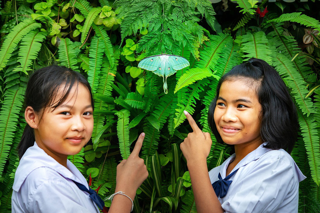 Bên trong khu bảo tồn côn trùng ở Thái Lan - Ảnh 4.