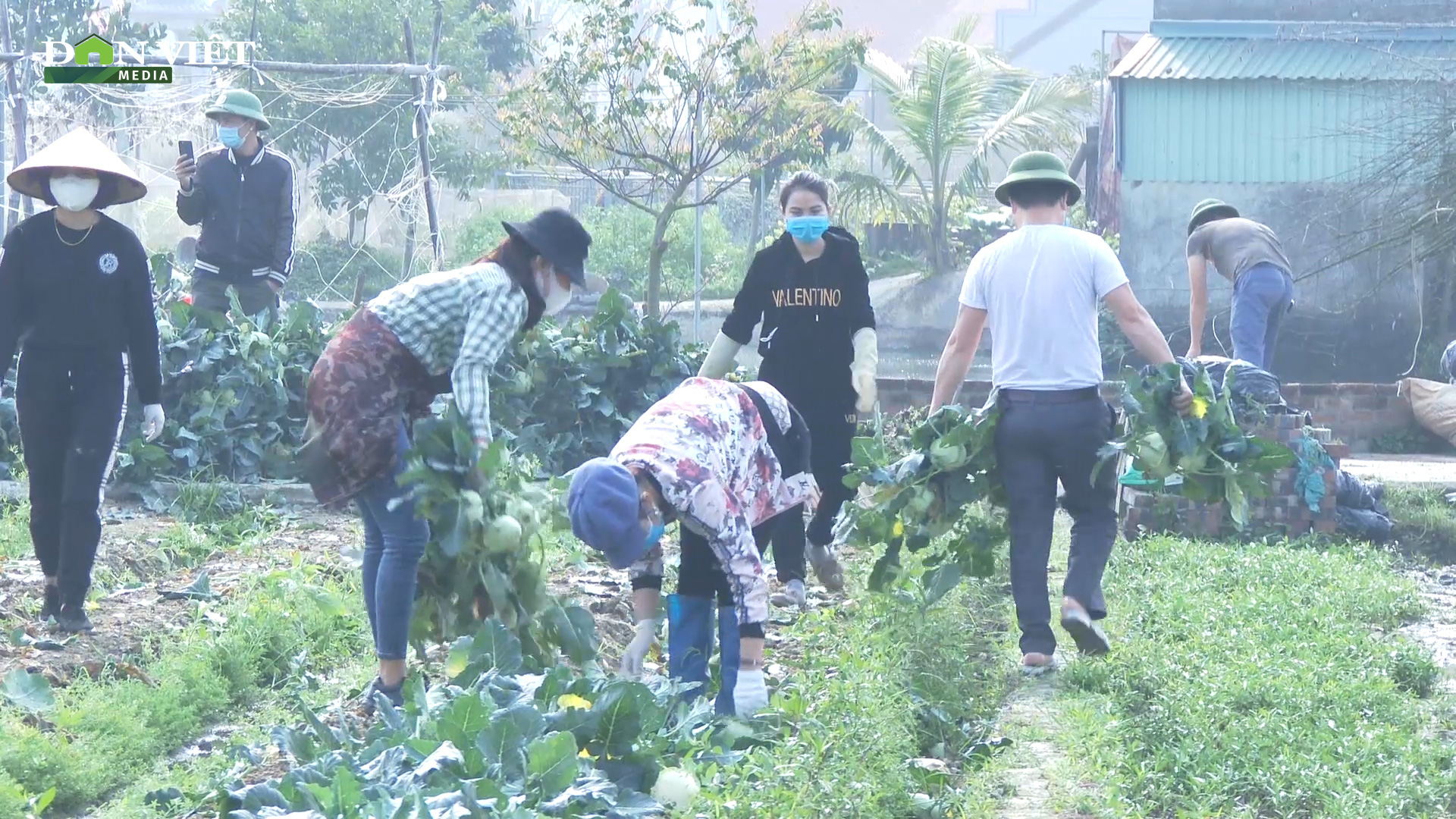 Hải Dương: Gỡ khó giúp nông dân, huyện Tứ Kỳ hỗ trợ tiêu thụ hàng nghìn tấn nông sản trong mùa dịch  - Ảnh 1.