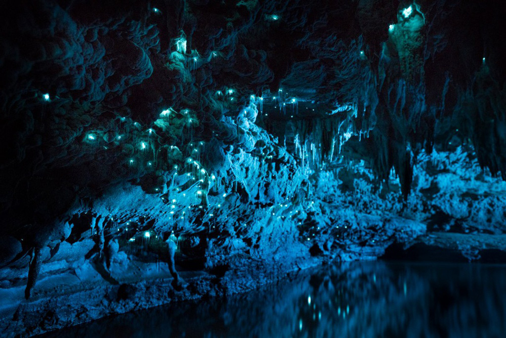 Lạc vào thiên đường nơi đom đóm phát sáng hang động 30 triệu năm - Ảnh 8.