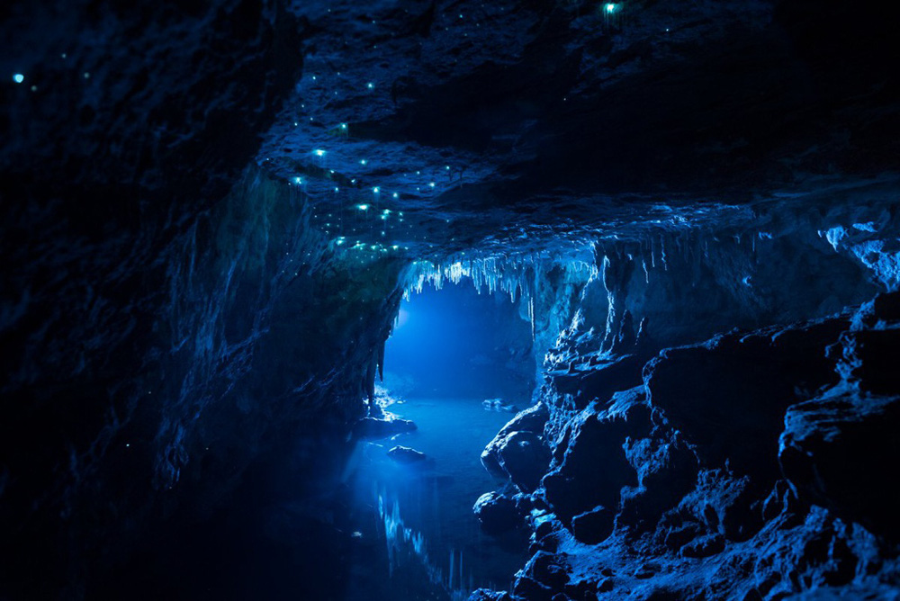 Lạc vào thiên đường nơi đom đóm phát sáng hang động 30 triệu năm - Ảnh 9.