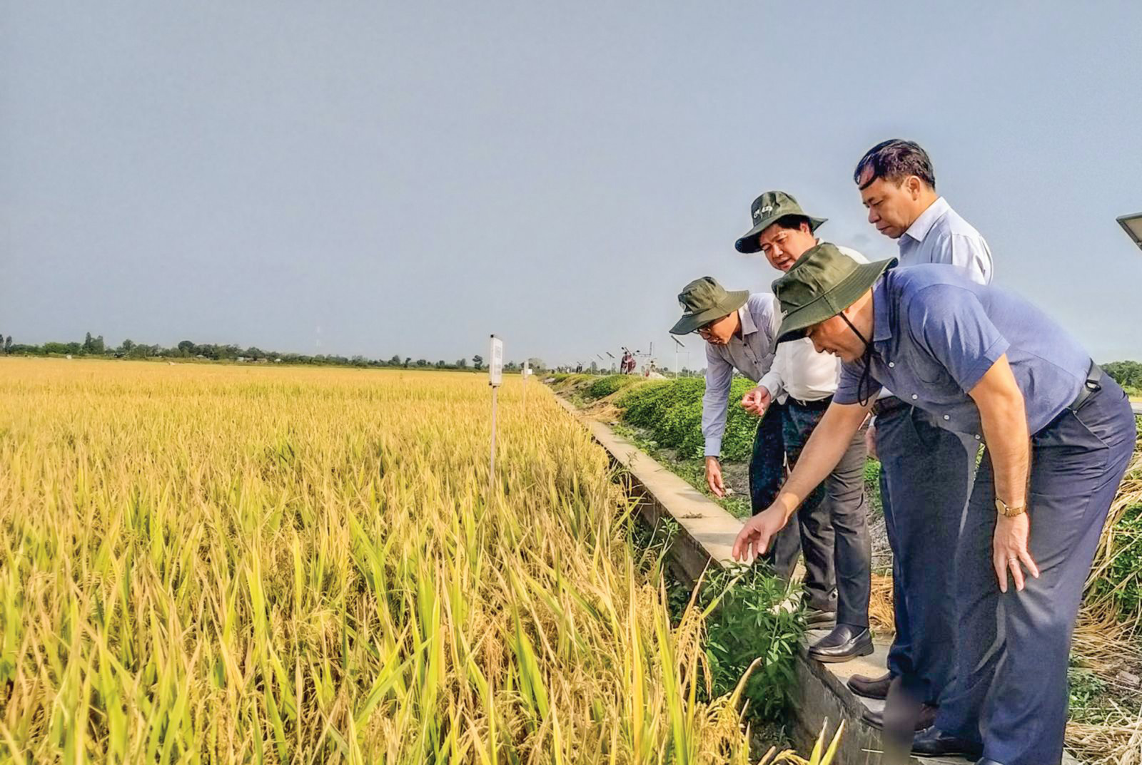 5 năm tái cơ cấu nông nghiệp, Thứ trưởng Bộ NNPTNT Lê Quốc Doanh: Kỳ tích gọi tên hạt lúa, quả chanh - Ảnh 2.