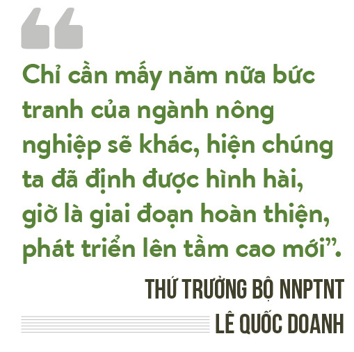 5 năm tái cơ cấu nông nghiệp, Thứ trưởng Bộ NNPTNT Lê Quốc Doanh: Kỳ tích gọi tên hạt lúa, quả chanh - Ảnh 17.