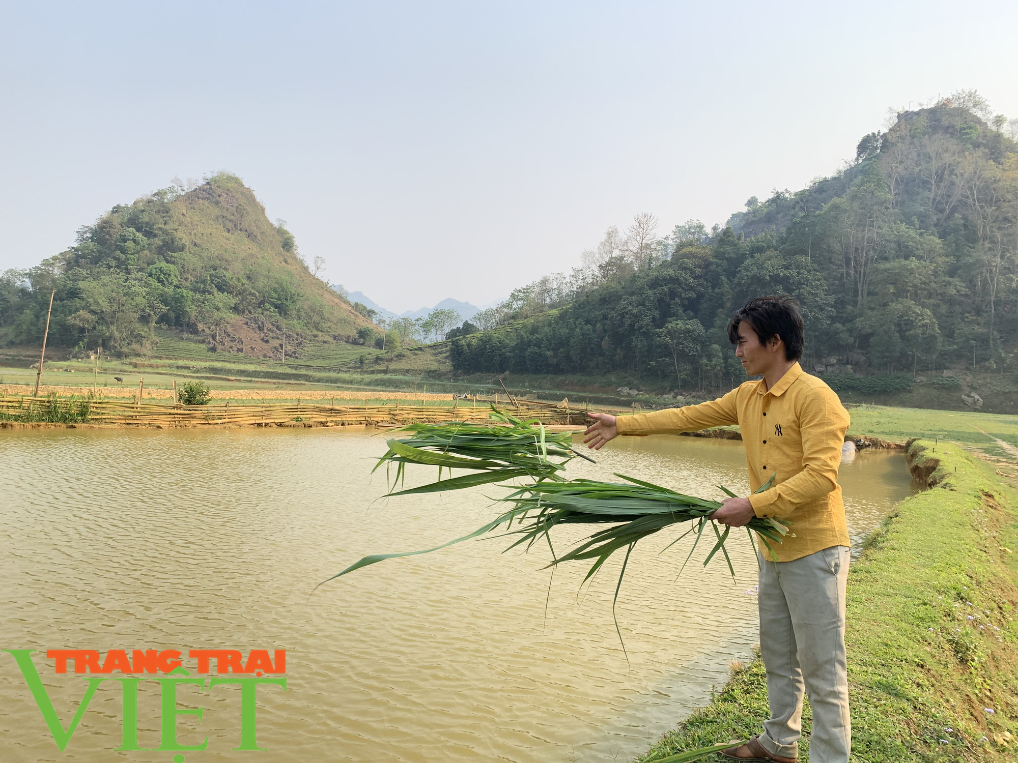 “Đánh thức” vùng đất khó, chàng trai Mông thu nhập trên 170 triệu đồng mỗi năm - Ảnh 2.