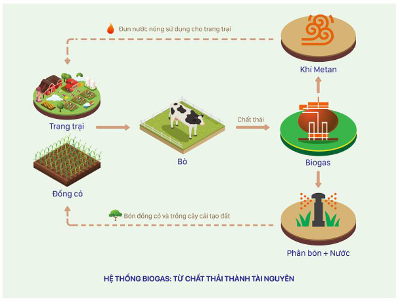 TRIỂN KHAI NĂNG LƯỢNG MẶT TRỜI ĐẾN 12 TRANG TRẠI BÒ SỮA 4.0 CỦA VINAMILK - Ảnh 4.