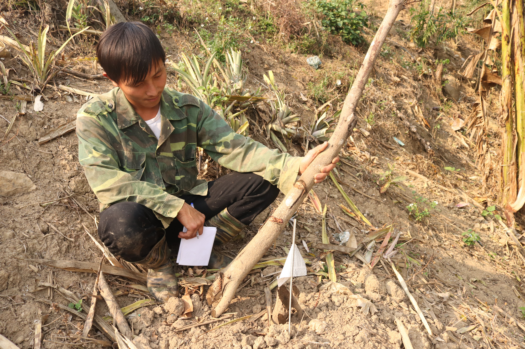 Sơn La: Chặt phá vườn cây bị phát hiện, đối tượng dùng dao truy đuổi lại chủ - Ảnh 4.