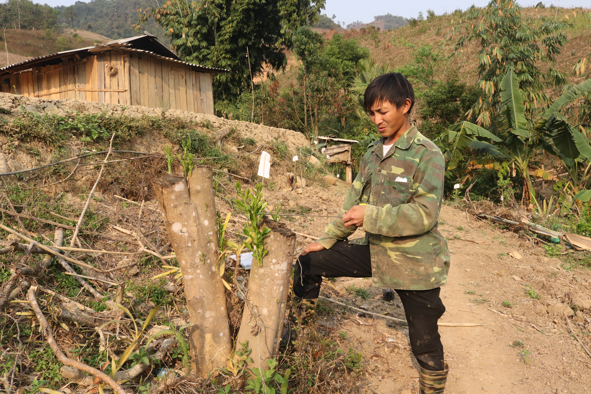 Sơn La: Chặt phá vườn cây bị phát hiện, đối tượng dùng dao truy đuổi lại chủ - Ảnh 1.