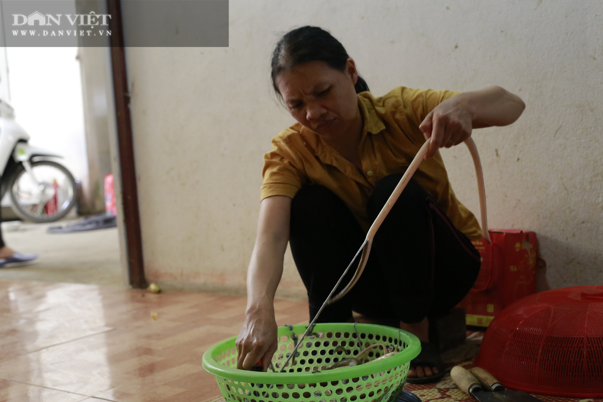 Thanh Hóa: Giống lươn nhưng lại là cá, con đặc sản này làm gỏi chấm với thứ nước đọc đau cả mồm ăn bao phê - Ảnh 3.