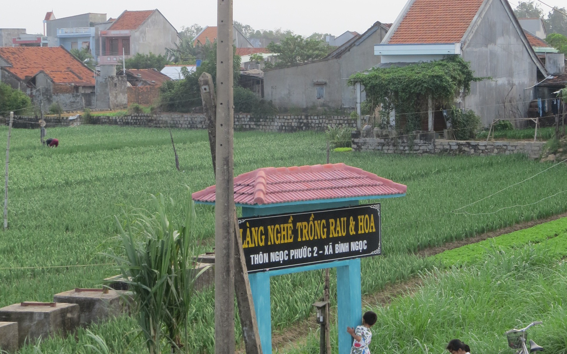 Phú Yên: Phát triển 4 điểm du lịch nông thôn cộng đồng