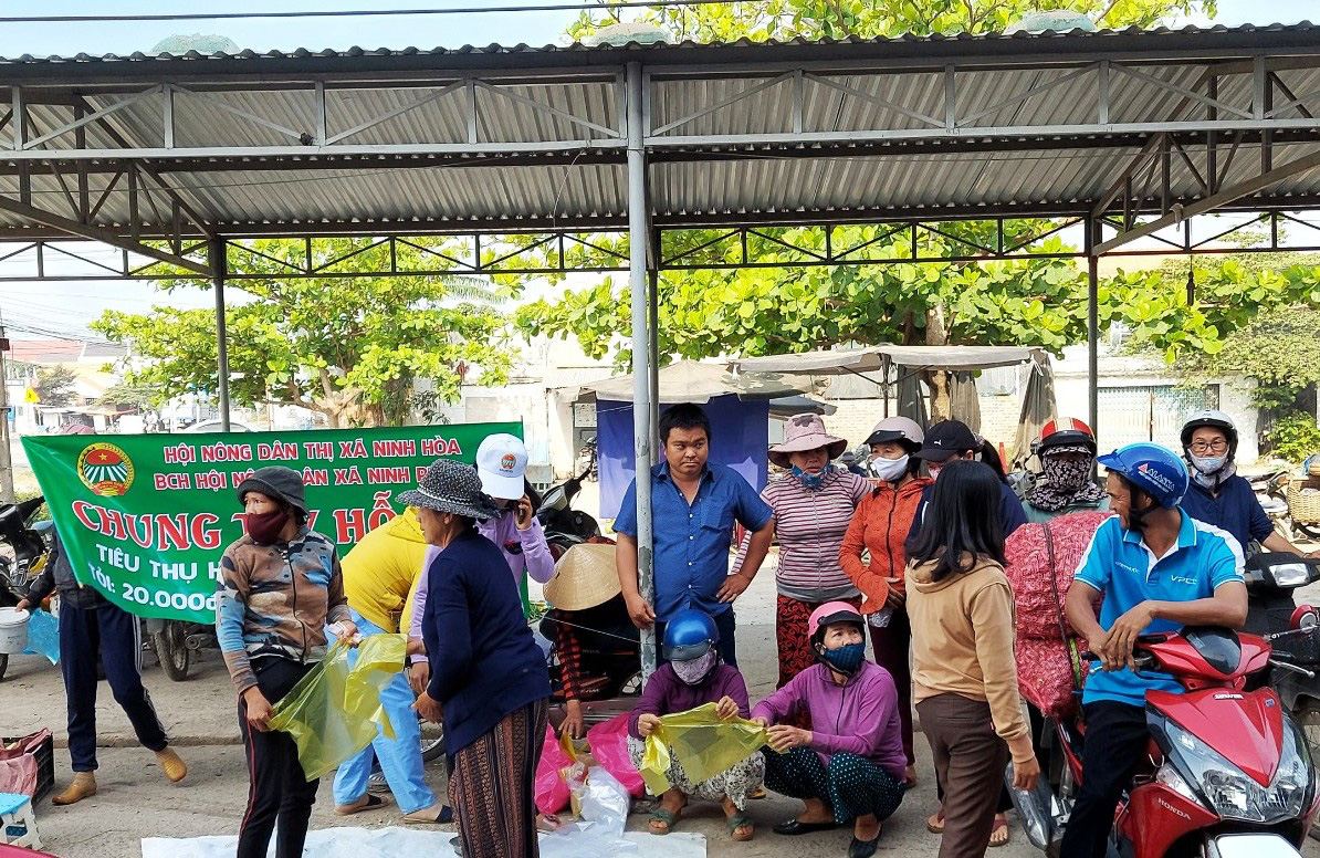  Chung tay &quot;giải cứu&quot; tỏi, hành giúp nông dân Khánh Hòa - Ảnh 3.