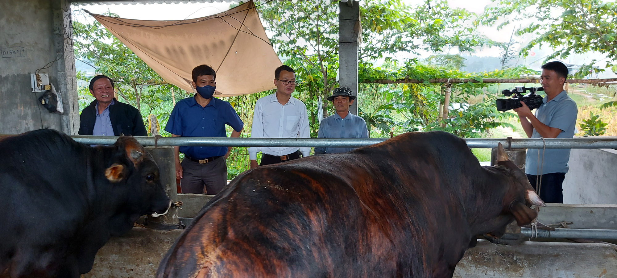 Quảng Nam: Qũy HTND “bơm” hàng chục tỷ đồng tiếp sức cho nông dân - Ảnh 1.