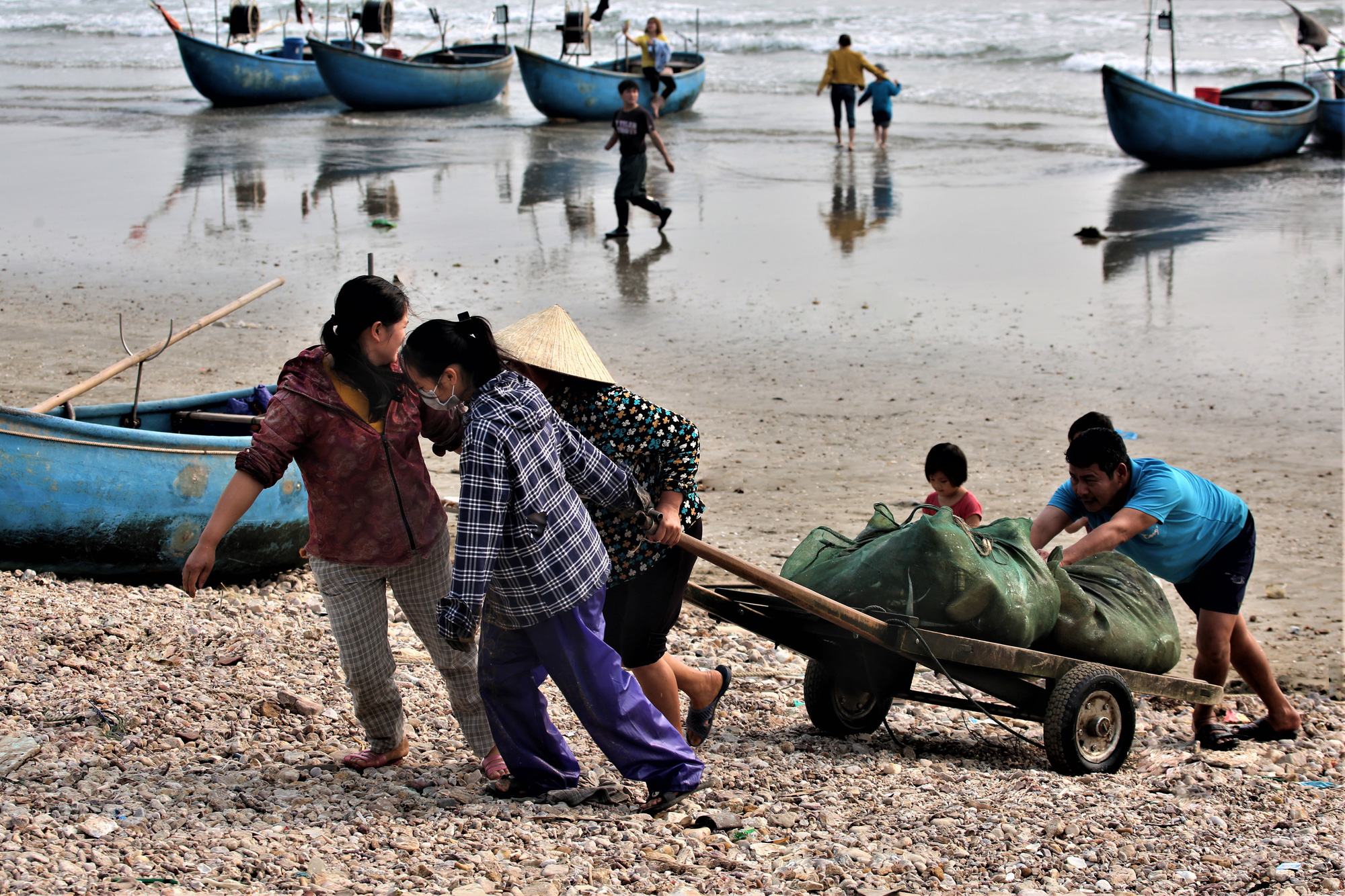 Ra khơi vài ba tiếng, ngư dân Quỳnh Nghĩa đem về cá, tôm cua, mực,... đầy ắp ằm ặp các thuyền thu cả triệu đồng - Ảnh 5.