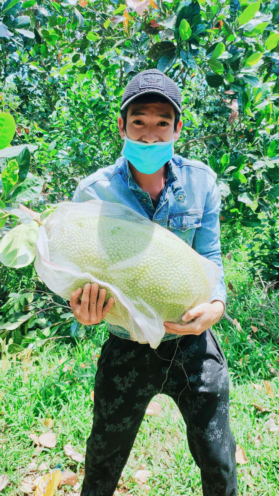 Giá mít Thái hôm nay 18/3: Giá giảm lái mít vẫn lượn như &quot;đèn cù&quot;, giá mít Thái Tiền Giang vẫn là giá tham chiếu - Ảnh 2.