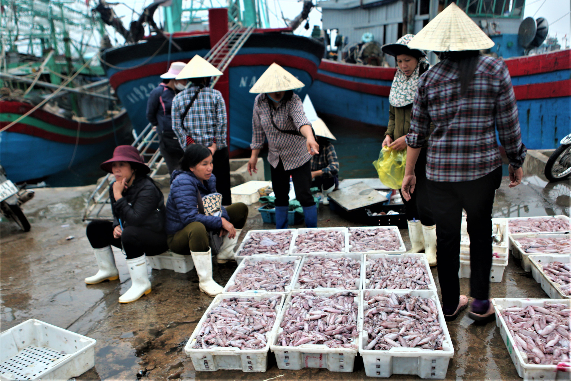 Ra khơi vài ba tiếng, ngư dân Quỳnh Nghĩa đem về cá, tôm cua, mực,... đầy ắp ằm ặp các thuyền thu cả triệu đồng - Ảnh 9.