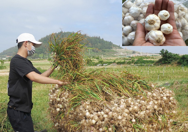 Quảng Ngãi: Không phân biệt hoạt động giữa Viễn thông và Bưu điện, huyện xin lỗi VNPT   - Ảnh 1.