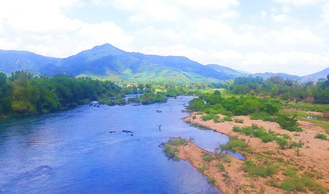 Bình Định: Loài cá chỉ vượt thác để sinh sản, ăn cùng với loại rau tên nghe bắt tai, bán &quot;đắt như tôm tươi&quot; - Ảnh 3.