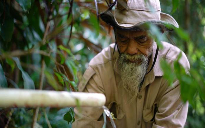 Người đàn ông Indonesia và nỗ lực phủ xanh những ngọn đồi khô cằn - Ảnh 2.