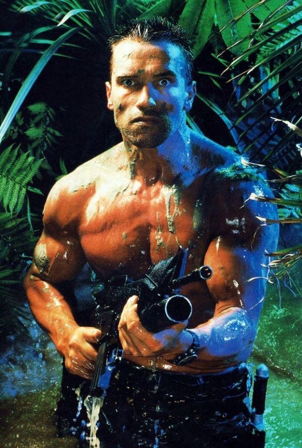 Diễn viên Arnold Schwarzenegger là người giỏi nhất nếu phải đối phó với sự xâm lược của người ngoài hành tinh? - Ảnh 2.