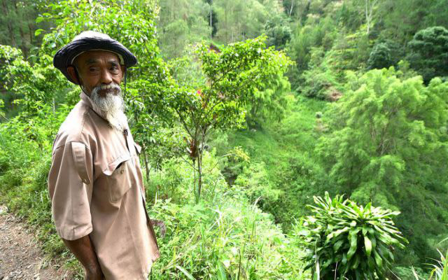 Người đàn ông Indonesia và nỗ lực phủ xanh những ngọn đồi khô cằn - Ảnh 1.