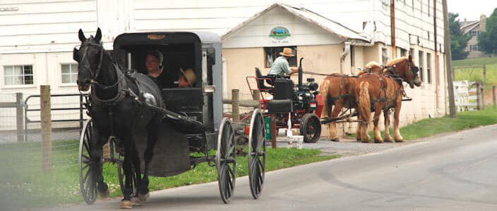 Cuộc sống kỳ lạ của tộc người Amish chối bỏ ô tô, tivi... giữa lòng nước Mỹ - Ảnh 4.
