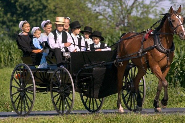 Cuộc sống kỳ lạ của tộc người Amish chối bỏ ô tô, tivi... giữa lòng nước Mỹ - Ảnh 7.