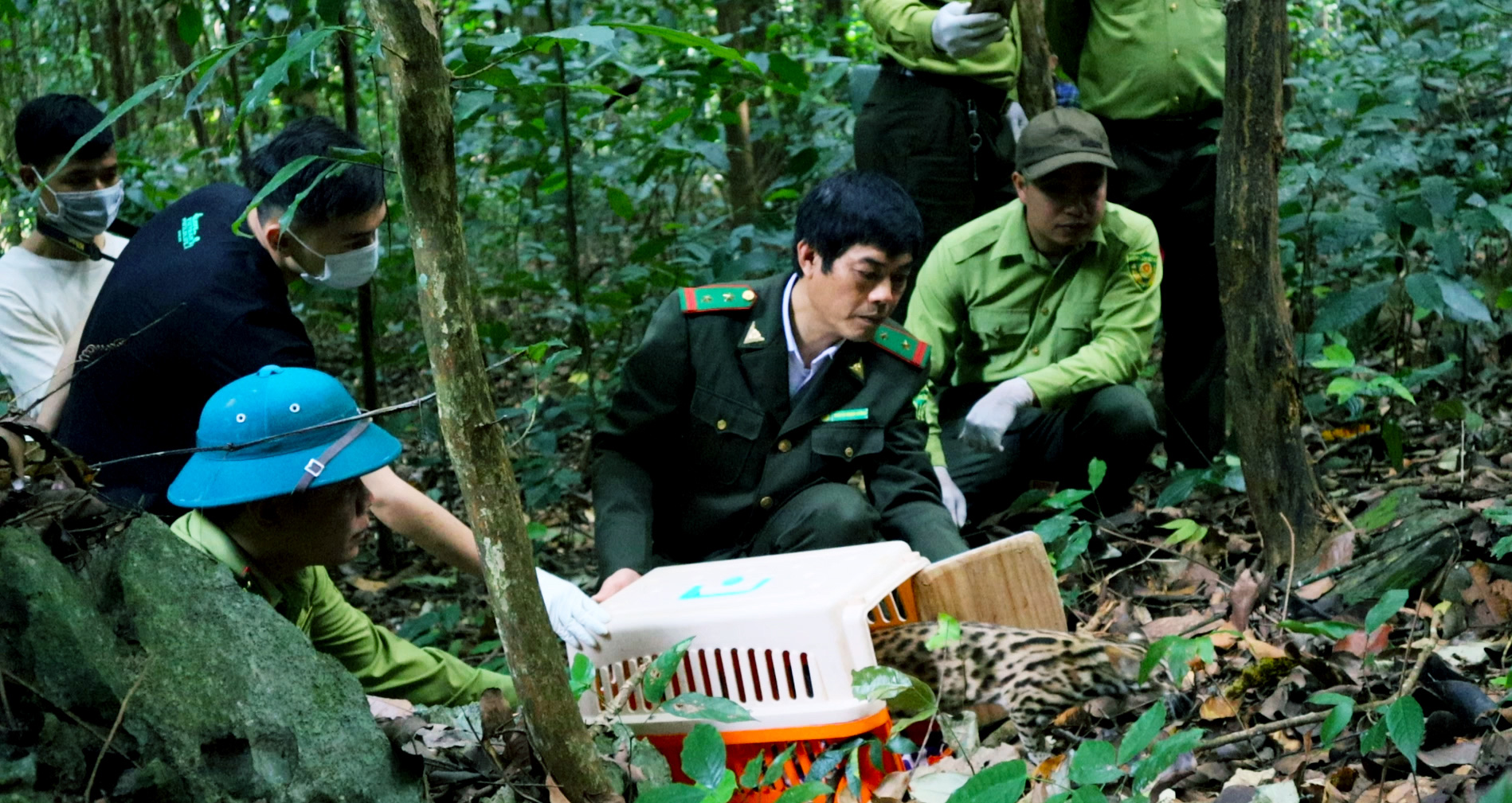 Lần đầu tiên tại Cúc Phương: Sẽ tổ chức tour &quot;Về nhà&quot; cùng hoạt động tái thả động vật hoang dã - Ảnh 3.