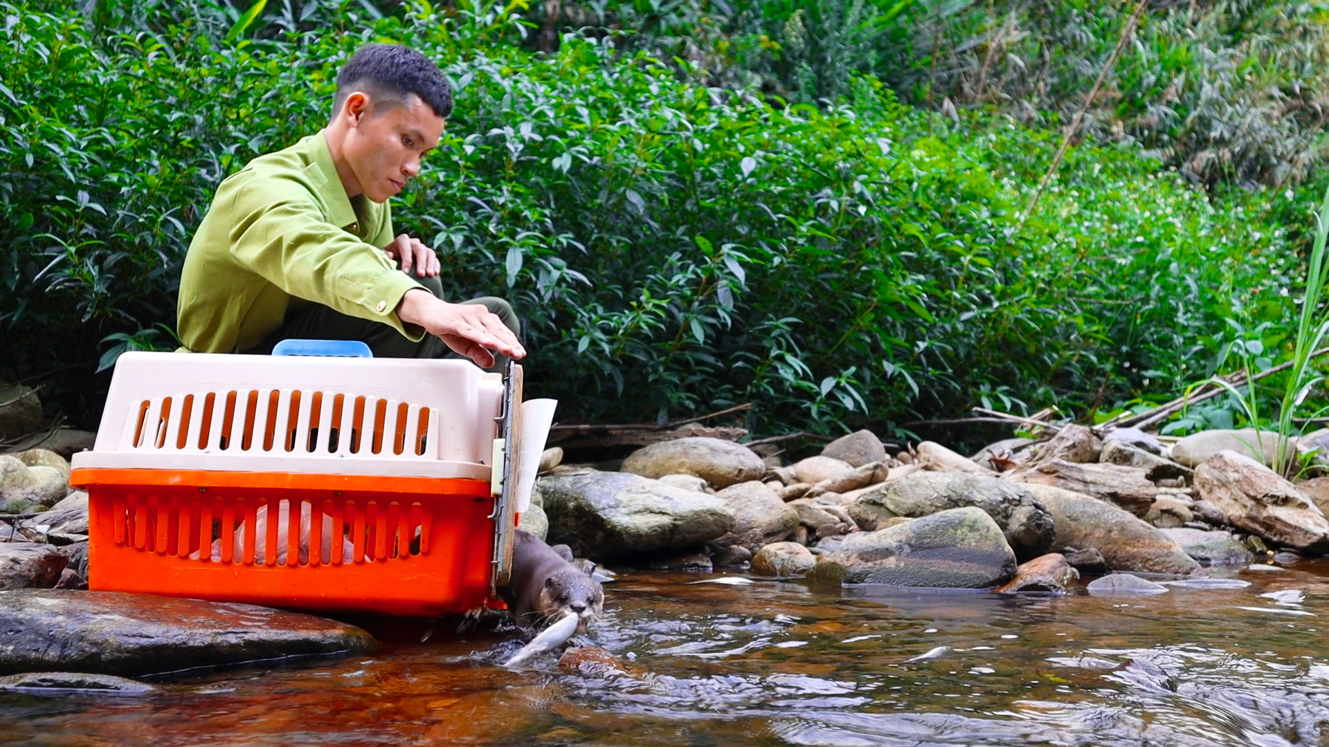 Lần đầu tiên tại Cúc Phương: Sẽ tổ chức tour &quot;Về nhà&quot; cùng hoạt động tái thả động vật hoang dã - Ảnh 2.