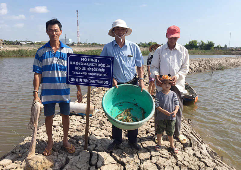 Bến Tre: Nuôi tôm càng xanh xen canh ruộng lúa, bắt toàn tôm đực to bự, cứ 1ha nông dân lời 85 triệu - Ảnh 1.