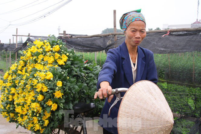 Giá hoa 'hồi sinh', dân làng Tây Tựu mừng như bắt được vàng - Ảnh 4.