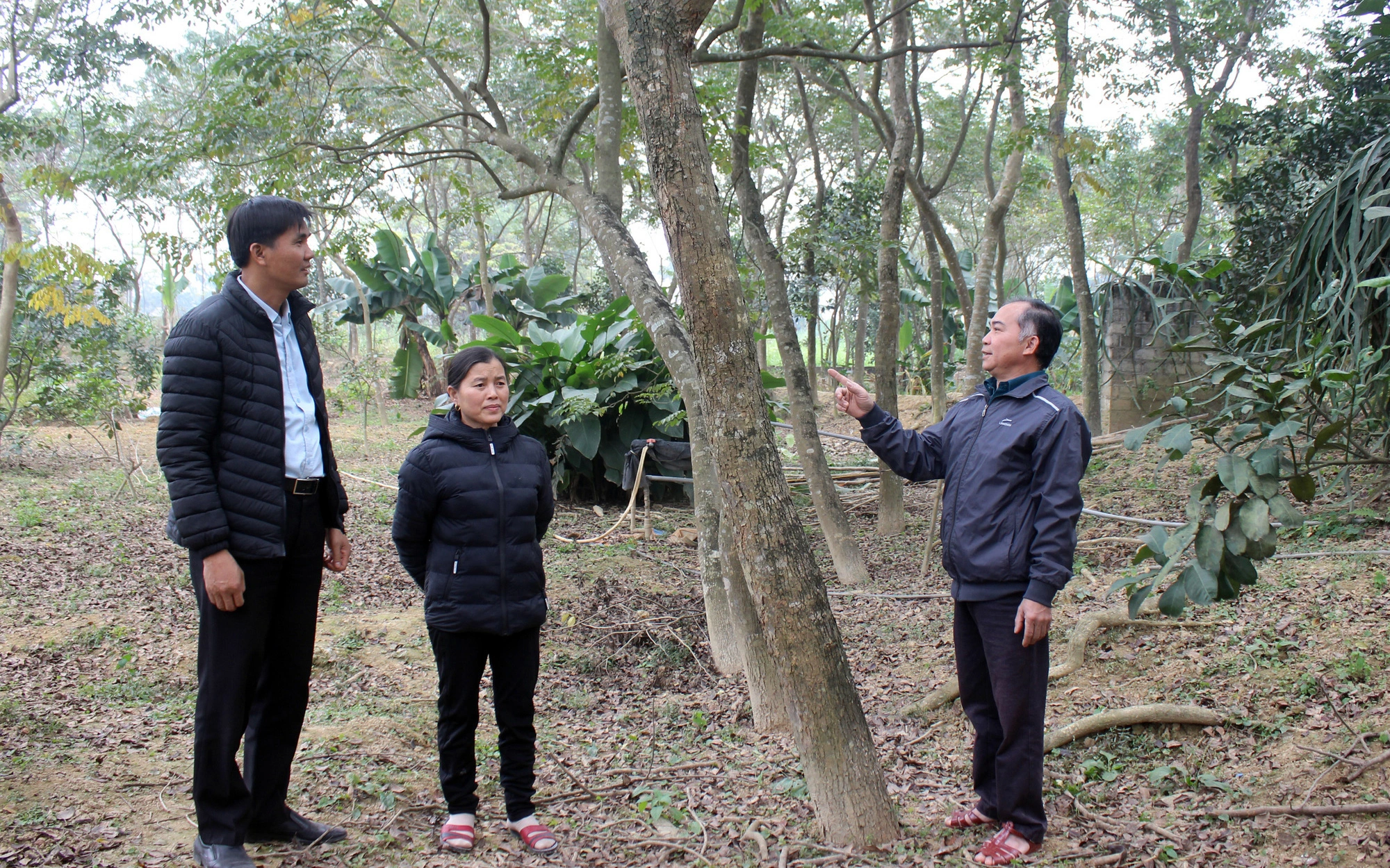 Phú Thọ: Vùng đất nông dân toàn chôn "kho báu" ngoài vườn, hễ ra ngõ là gặp tỷ phú