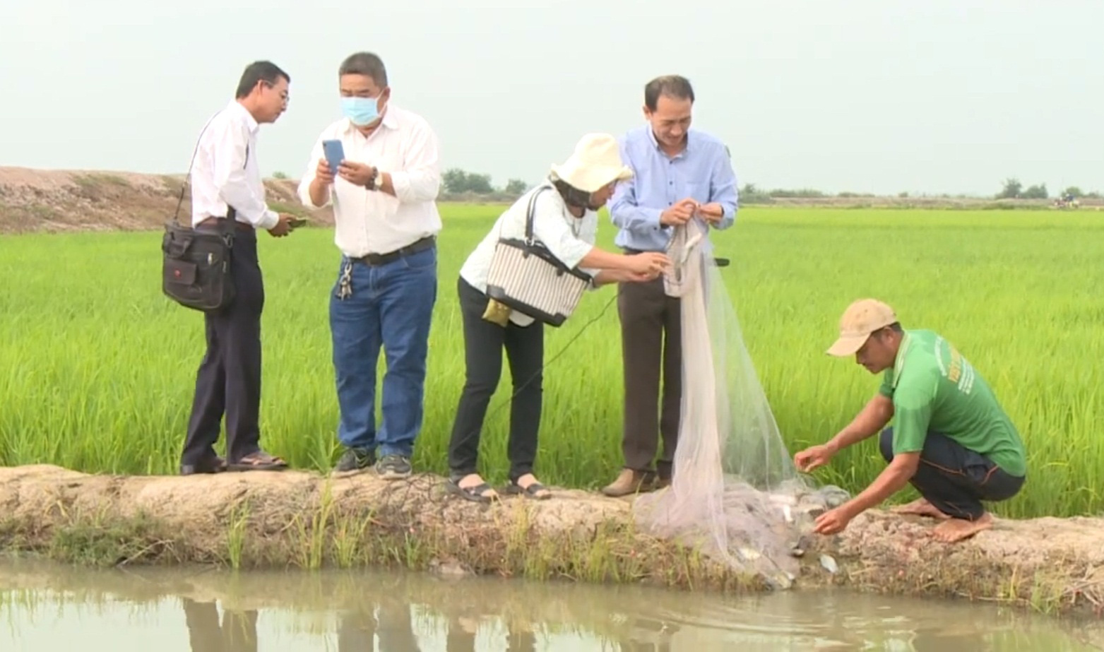 Đồng Tháp: Nông dân dự án ICRSL hướng đến sản xuất hữu cơ, tìm kiếm lợi nhuận lâu dài - Ảnh 2.