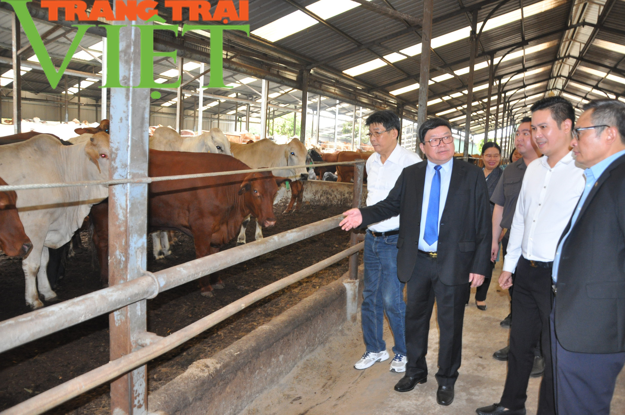 CLIP: CEO Asanzo Phạm Văn Tam nói về thông tin lấn sân sang làm phân bón Ba con bò - Ảnh 3. CLIP: CEO Asanzo Phạm Văn Tam nói về thông tin lấn sân sang làm phân bón Ba con bò - Ảnh 3.