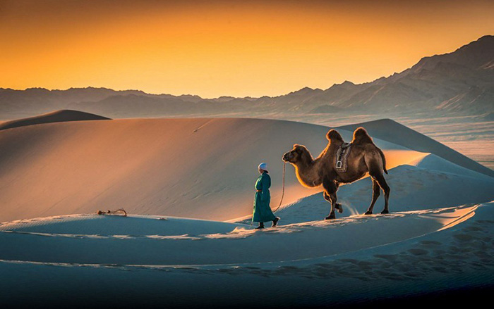 Đến Mông Cổ nghe “cồn cát hát” Khongoryn Els và ngắm cánh đồng băng ở thung lũng Yolin Am - Ảnh 4.