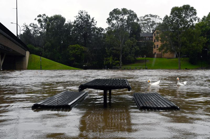 Mưa lớn như trút nước, người dân Sydney phải sơ tán ngay trong đêm - Ảnh 2.