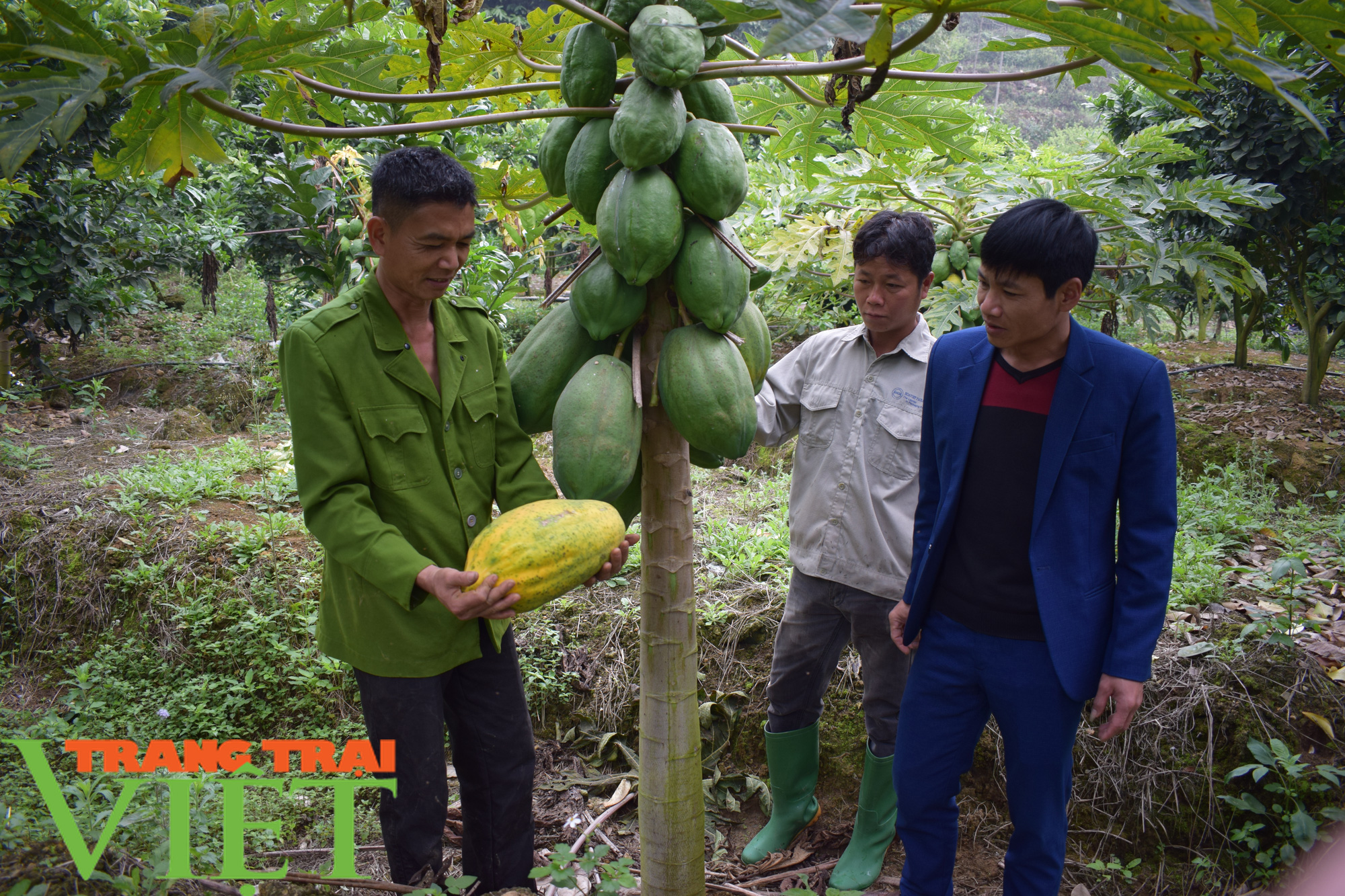 Nghĩa Hưng nỗ lực cán đích bản nông thôn mới kiểu mẫu - Ảnh 2.