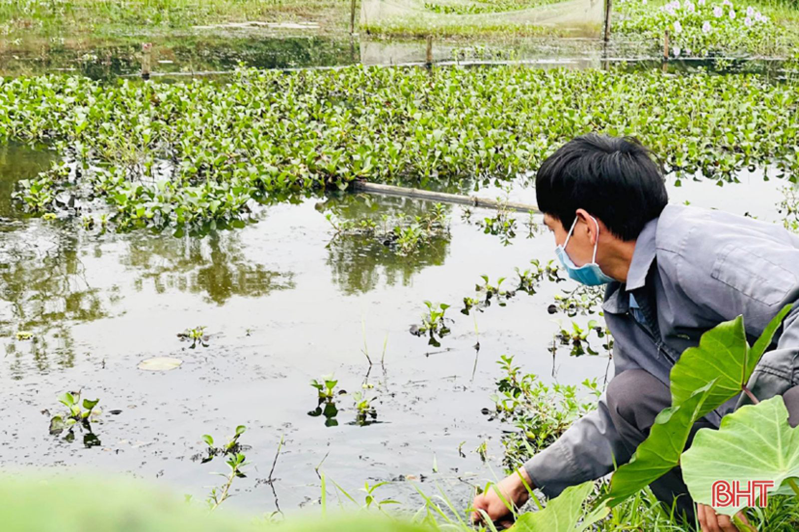 8X làm giàu thành công từ nuôi ốc nhồi - Ảnh 5.