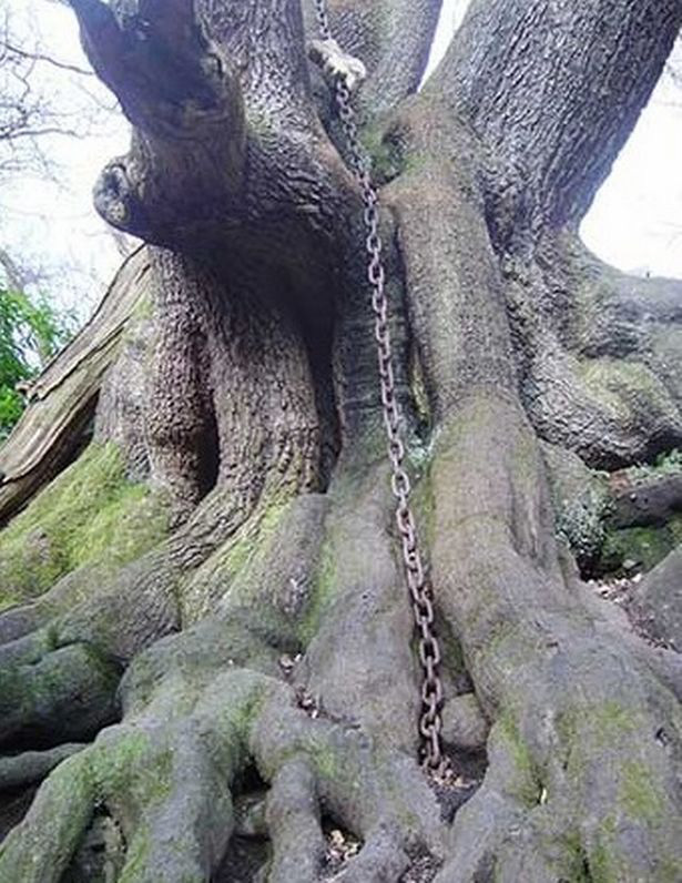 Câu chuyện ma tại Alton Towers: Đàn hắc khuyển, quân đội ma quái và những đứa trẻ xác sống luôn cười - Ảnh 4.