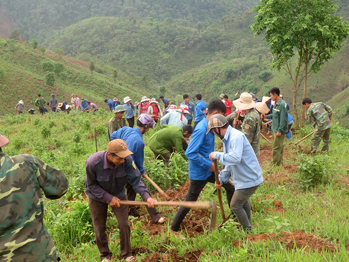 Điên Biên quy hoạch 700.000 ha đất trồng rừng - Ảnh 2.