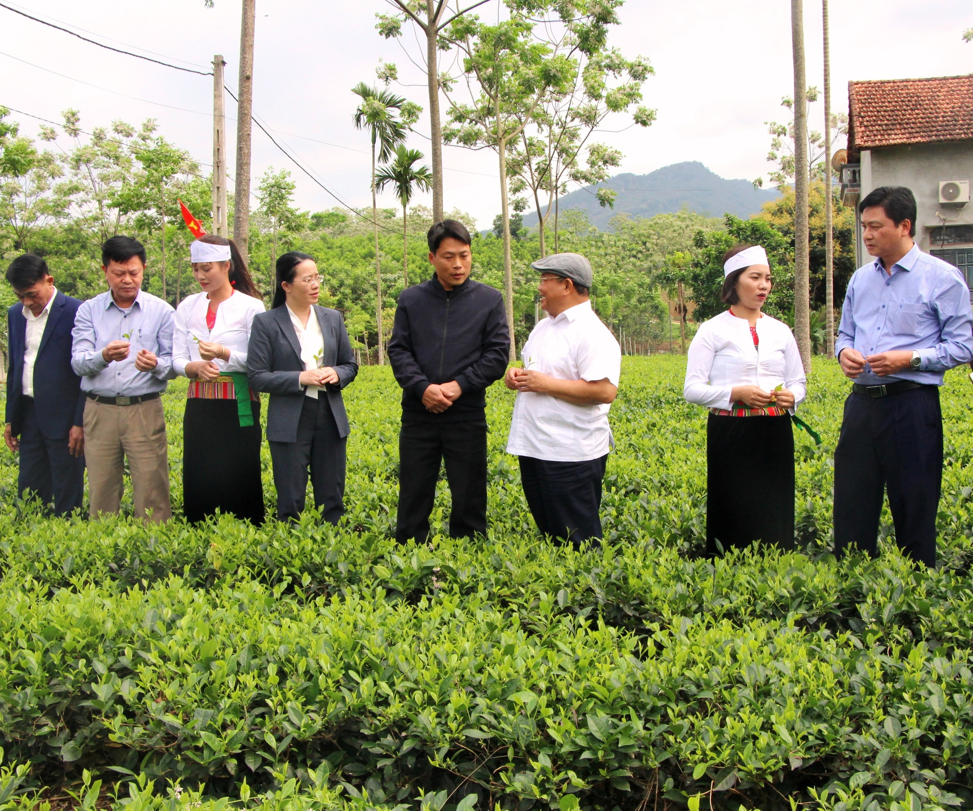 Phó Chủ tịch Hội Nông dân Việt Nam thăm nơi cả làng là người Dao làm nghề thuốc Nam - Ảnh 4.