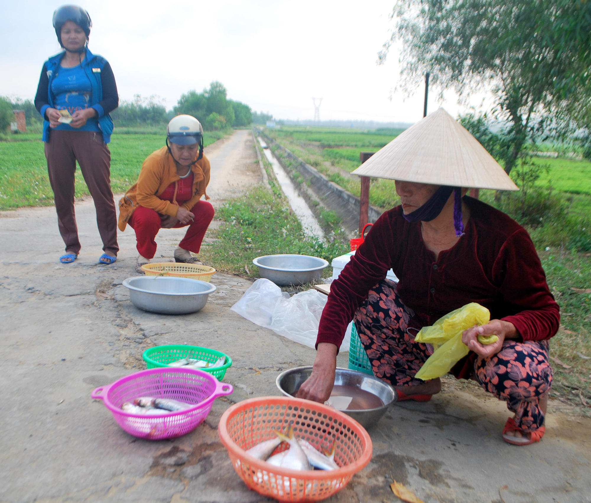 Kể chuyện làng: Tháng Giêng ăn cá mòi sông Yên - Ảnh 1.