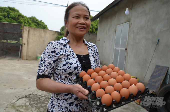 Hà Nội: Kỳ lạ trại gà 4 tháng không phải dọn phân, trứng luộc lên ăn béo thơm mà không thoát &quot;nỗi đau&quot; này - Ảnh 1.