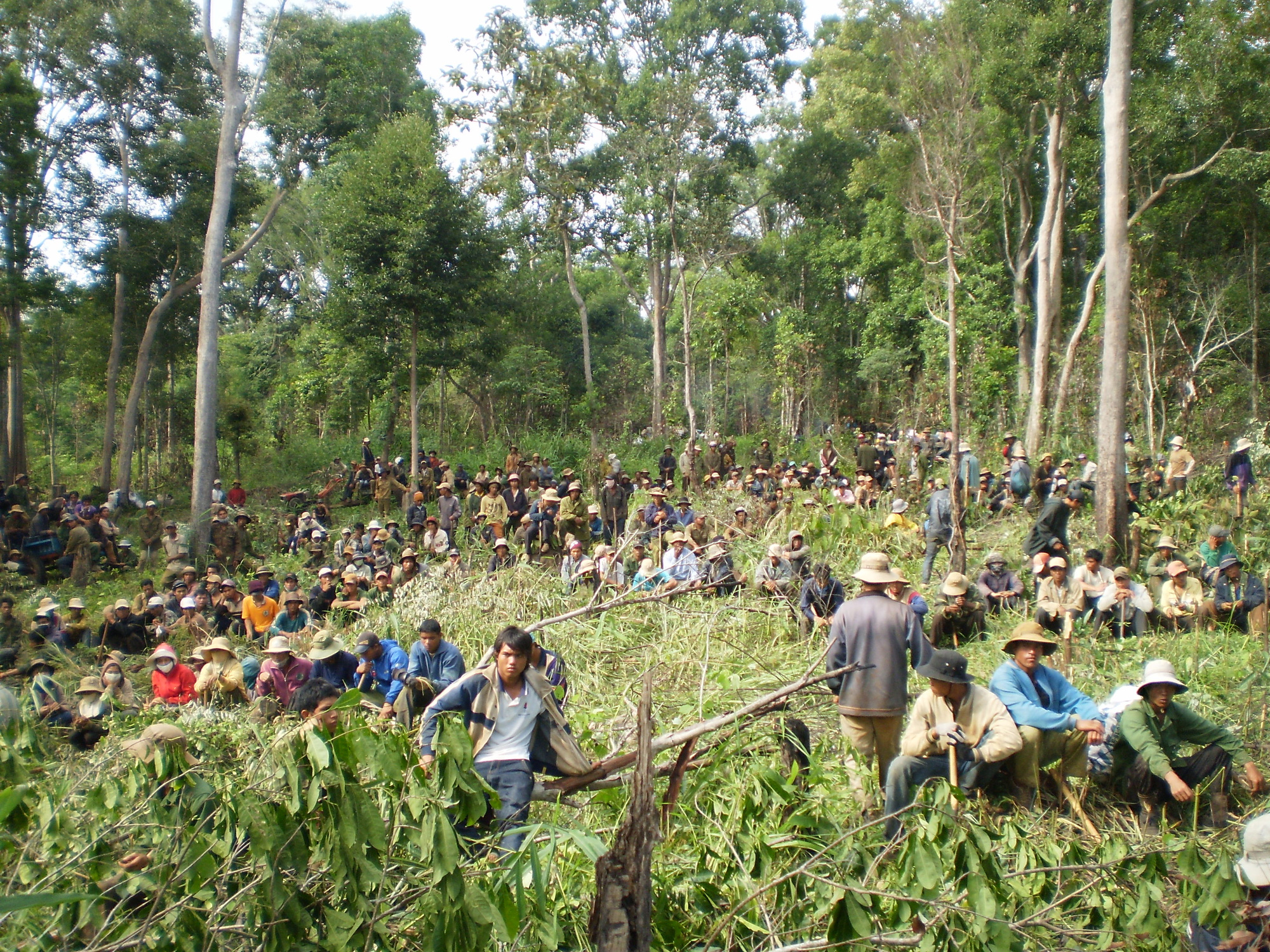 Vụ mất 22.000 ha rừng tại 4 công ty lâm nghiệp: Sở NNPTNT Đắk Lắk nói gì?  - Ảnh 4.