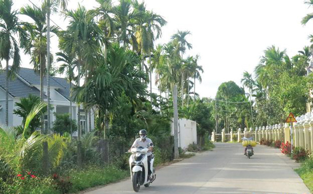 Quảng Ngãi: Huyện cửa ngõ phía nam thành phố về đích Nông thôn mới  - Ảnh 3.