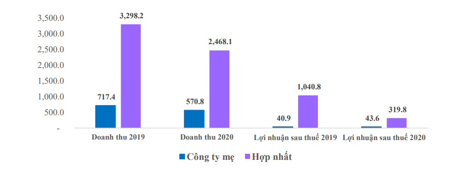 CEO một công ty bất động sản thu nhập gần 10 tỷ đồng năm 2020 - Ảnh 3.